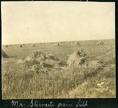 Mr. Stewart's Grain Field - Humboldt