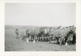 Plowing in Biggar, Saskatchewan