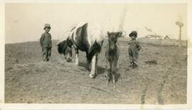 Gordon and Walter With The Watley Ponies Near Biggar, Saskatchewan