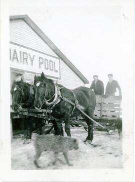 The Dairy Pool