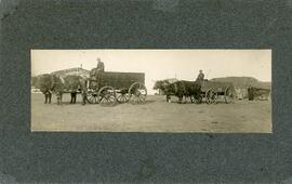 Men With Oxen and Wagons