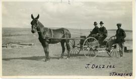 J. Dalziel with horse and buggy