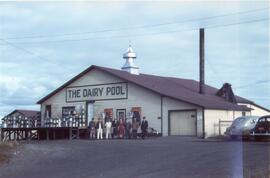 The Dairy Pool
