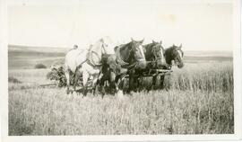 Harry Cannon ploughing near Biggar