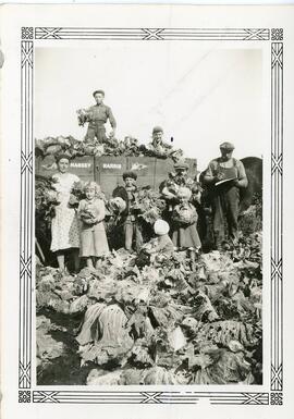 A Family with a Cabbage Crop