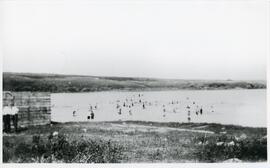 Bathing at Skinner's Lake