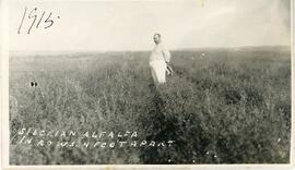 Dr. Sidney Shaw standing in a field of 'Siberian Alfalfa' near Biggar, Saskatchewan