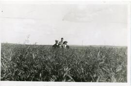 Dr. Shaw and Others In A Field Near Biggar, SK