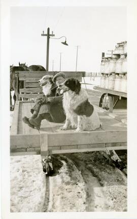 Man and two dogs