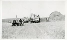 Threshing Wheat On Ahren's Farm Near Rosetown, Saskatchewan