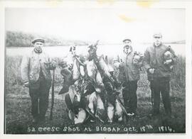 52 Geese Shot At Biggar
