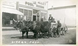 Oxen and Cart on Main Street