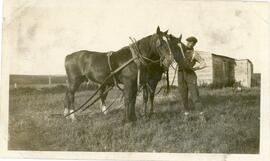 John Muncey with his horses