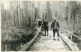 Three Men On A Bridge In A Wooded Area