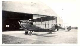 Tiger Moth biplanes