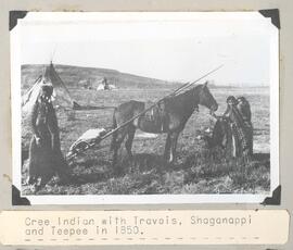 Cree with Travois, Shaganappi