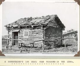 Homesteader's log shack