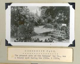 Community park