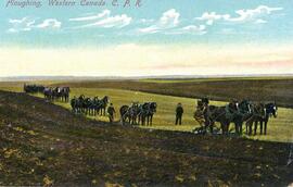 Ploughing, Western Canada. C.P.R.