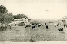 The Holdens at the Bell Farm Dairy (1923)