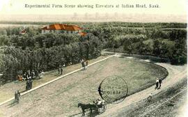 Experimental Farm scene showing the Indian Head grain elevators