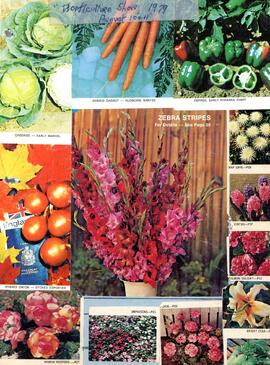 Guest registries for annual horticultural shows