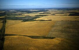 Highway 17 & wheat fields