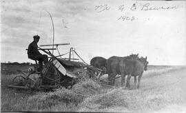 Mr. G.E. Bowran and his horse drawn riding binder