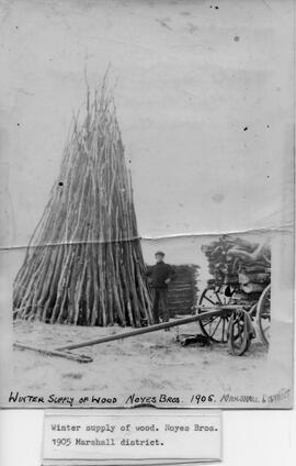 Winter Supply of Wood, Noyes Brothers