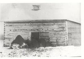 Log barn at Crawford McAusland homestead