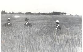 Men in a field