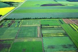 Aerial View Melfort Research Farm Plots