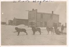 A Provincial dog team - Beatty, Sask.