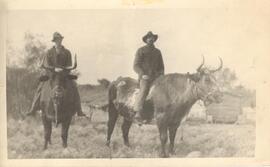 Men Riding Oxen