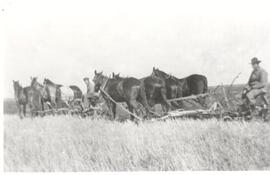 Art and George Howell ploughing