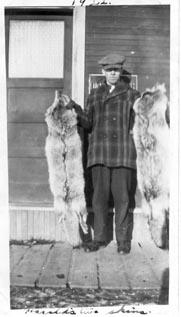 Harold Leard with two coyote skins - Beatty, Sask.
