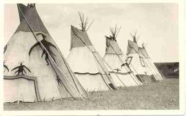 Tipis (Tepees)