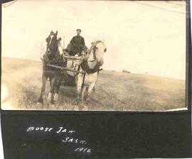 Unidentified man on horse and wagon