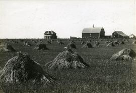 Farm near Moose Jaw with Wheat in Stooks