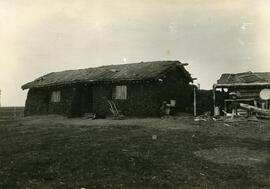 Sod House in Brownfield, Alberta