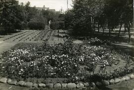 Garden at C.P.R. Depot