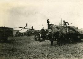 Threshing in the Wilkie District