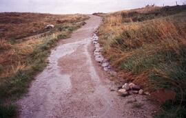 Path showing damage from water run-off
