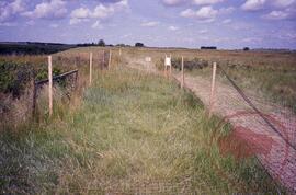 Area fenced off for vegetation recovery experiment