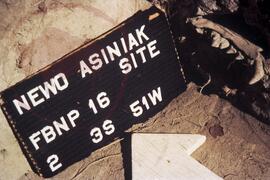 Signage for Newo Asiniak site Fb-Np 16 2 3S 51W