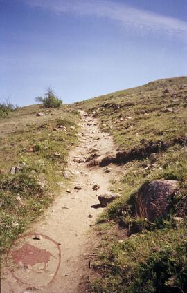 Figure 4.8, site 6 - buffalo trail slope