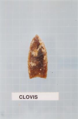 Clovis projectile point