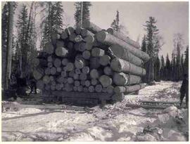 Logging sleigh load