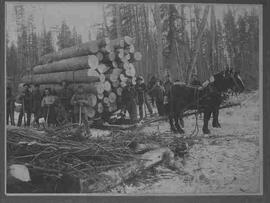 Logging team with load