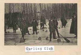 Curling School